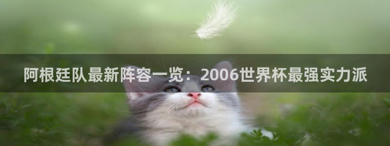 法国杯2026赛程表:阿根廷队最新阵容一览:2006世界杯最强实力派