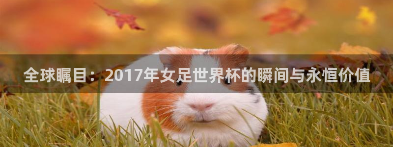 世界杯女足直播:全球瞩目:2017年女足世界杯的瞬间与永恒价值