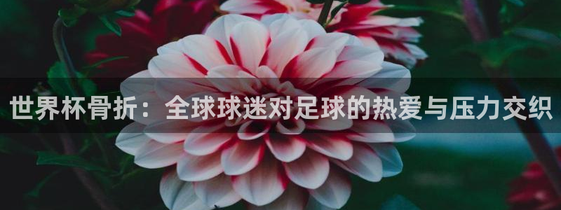 世预赛欧洲赛程表：世界杯骨折：全球球迷对足球的热爱与压力交织