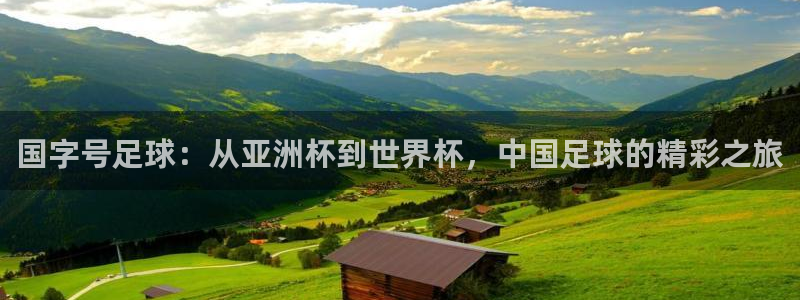 足球比分直播世界杯:国字号足球:从亚洲杯到世界杯,中国足球的精彩之旅