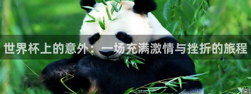 世界杯系列赛：世界杯上的意外：一场充满激情与挫折的旅程