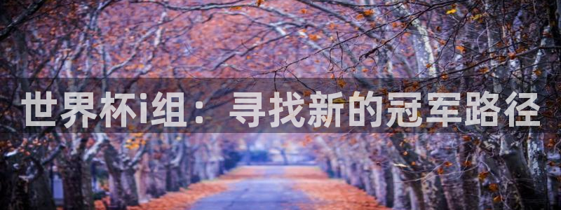 亚洲杯足球：世界杯i组：寻找新的冠军路径