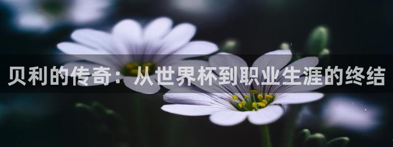 世界杯比赛直播：贝利的传奇：从世界杯到职业生涯的终结