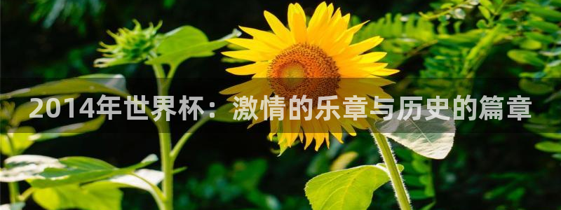 2026世界杯赛程：2014年世界杯：激情的乐章与历史的篇章