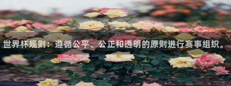 世界杯球赛：世界杯规则：遵循公平、公正和透明的原则进行赛事组织。