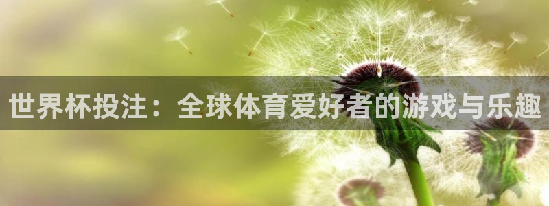 2026世亚预赛赛程表：世界杯投注：全球体育爱好者的游戏与乐趣