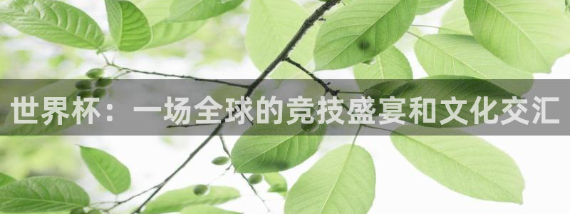 世界杯预选赛欧洲区赛程：世界杯：一场全球的竞技盛宴和文化交汇