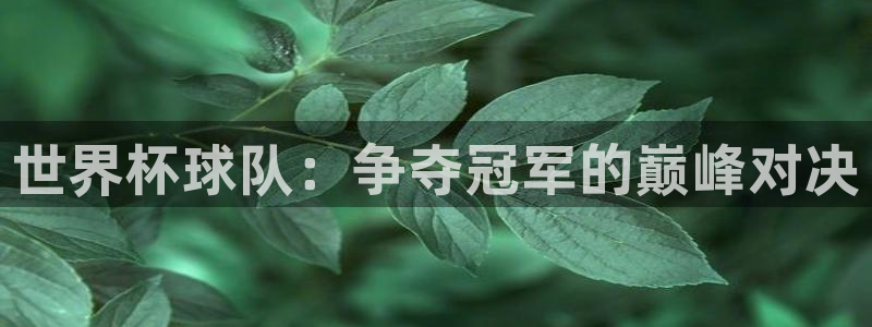 2026男足世界杯赛程：世界杯球队：争夺冠军的巅峰对决
